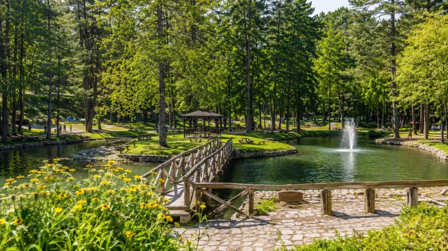 Atatürk Orman Parkı Bolu yeşil yürüyüş ve dinlenme alanı