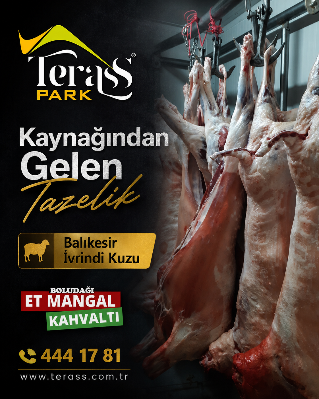 Balıkesir İvrindi kuzu kaynağından Terass Park Bolu Dağı