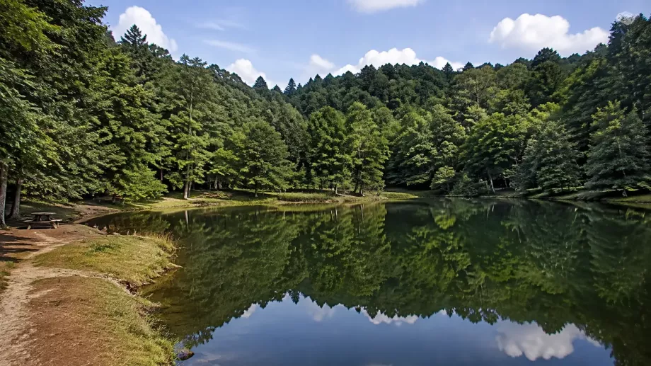 Kurugöl Tabiat Parkı Düzce göl ve orman manzarası