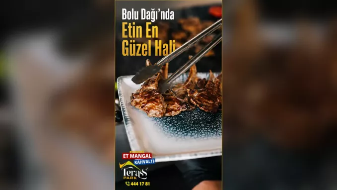 Yedigöller dönüşü Bolu Dağı Terass Park yemek molası