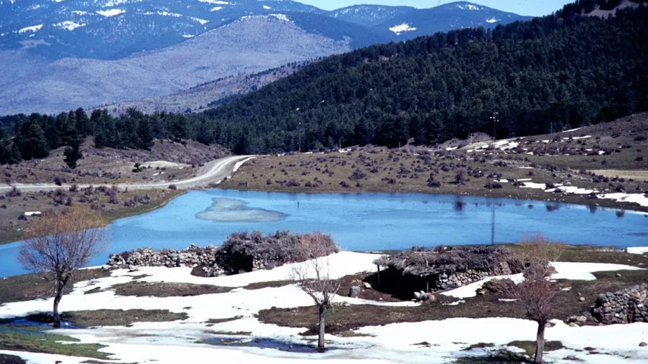 Karagöl Tabiat Parkı Kıbrıscık Bolu göl ve orman manzarası